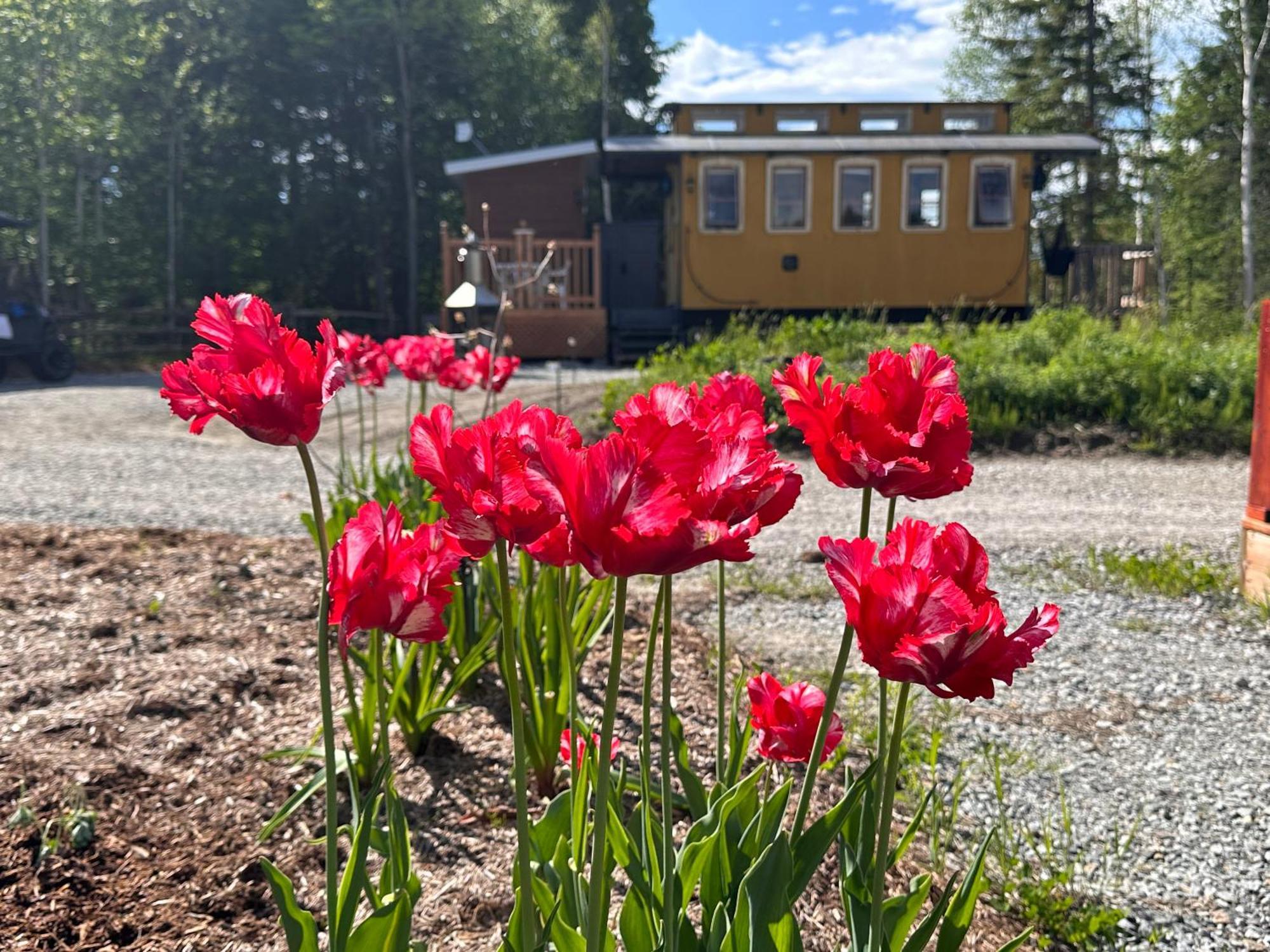 Вілла Domaine Gagnon Saint Sebastien Екстер'єр фото